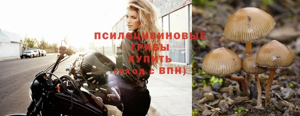 молекула духа Нязепетровск