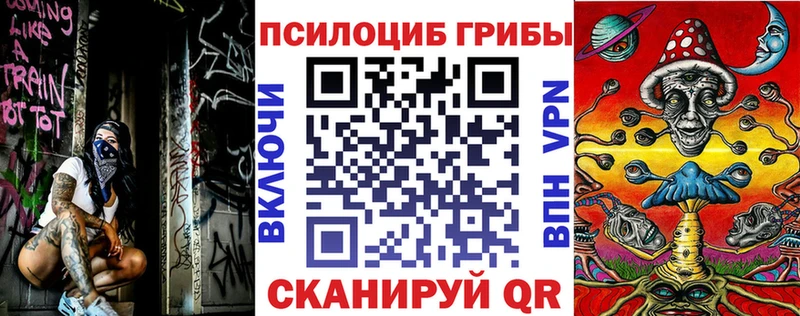 Галлюциногенные грибы Psilocybe  магазин  наркотиков  Любим 